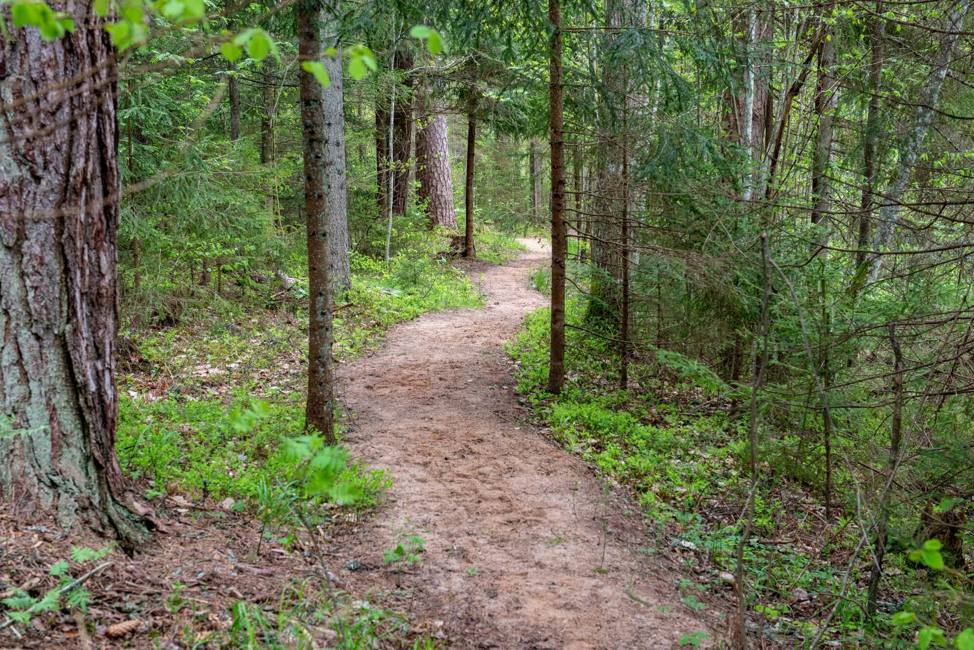 All Paths To Recovery